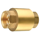 Spring Check Valve